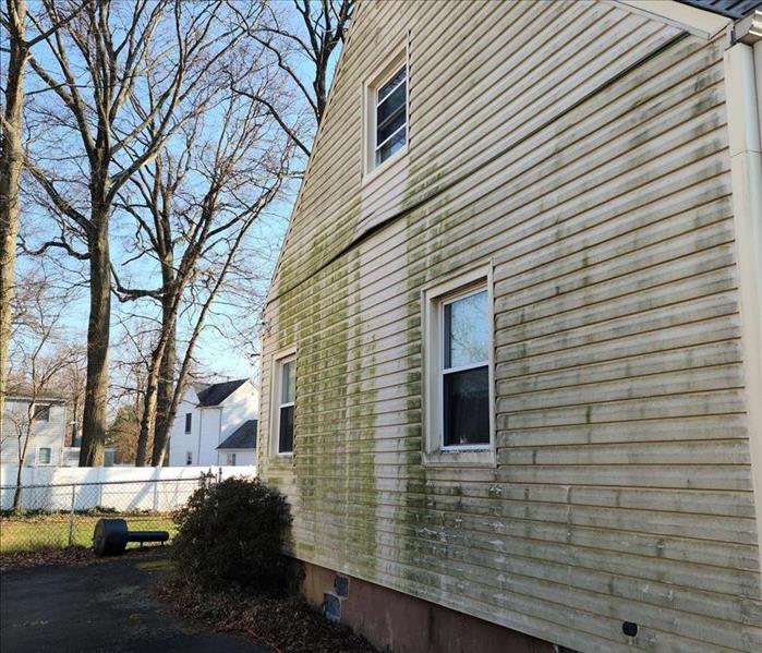 A home with green mold-covered vinyl siding extending from bottom to top