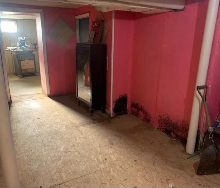 mold damage on the bottom portion of a pink wall