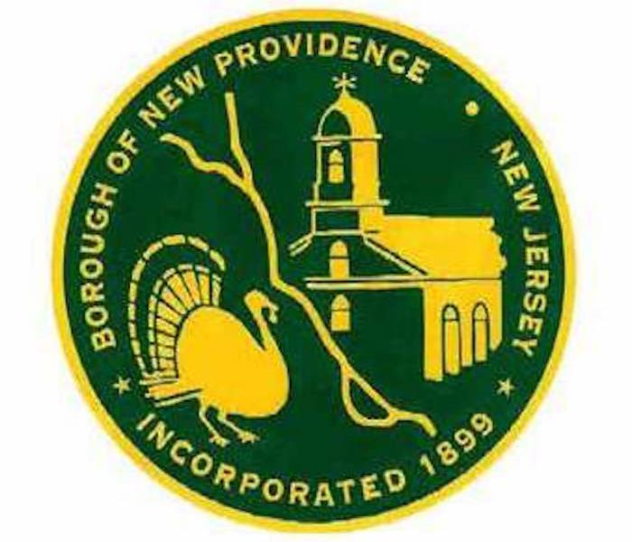 New Providence logo