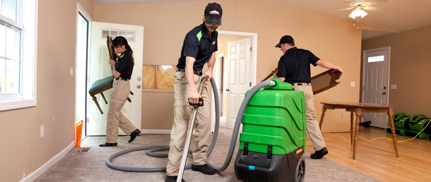 New Providence, NJ cleaning services